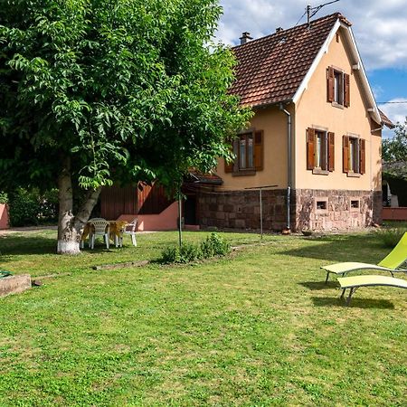 La Maison De Vacances De Colmar Et Son Jardin Zewnętrze zdjęcie