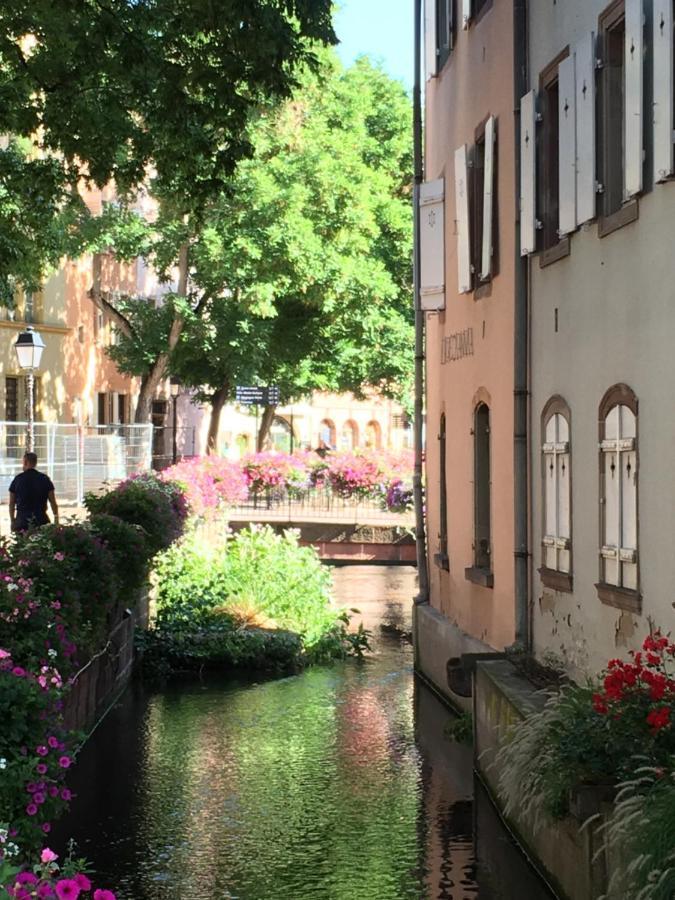 La Maison De Vacances De Colmar Et Son Jardin Zewnętrze zdjęcie