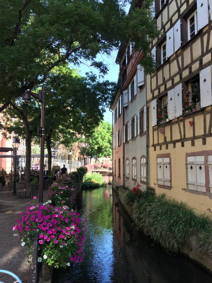 La Maison De Vacances De Colmar Et Son Jardin Zewnętrze zdjęcie