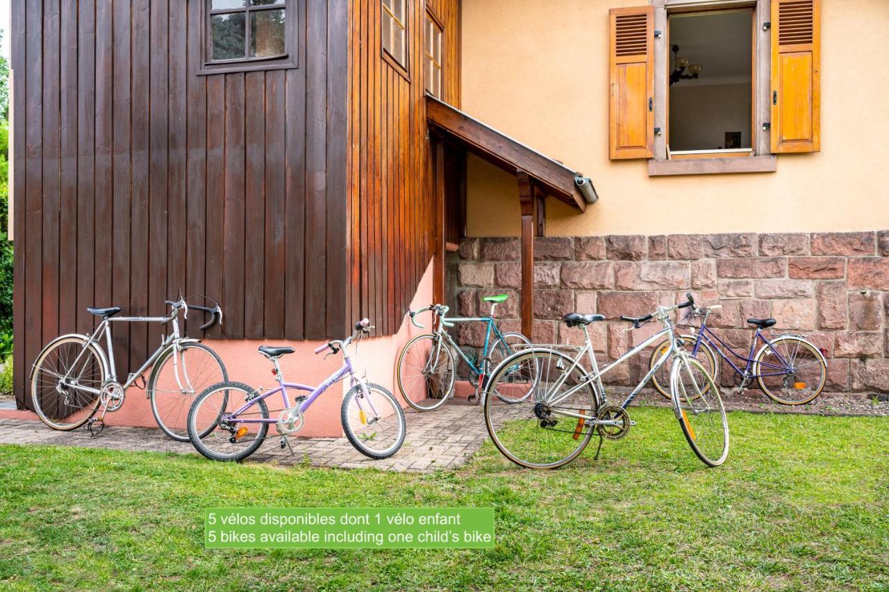La Maison De Vacances De Colmar Et Son Jardin Zewnętrze zdjęcie